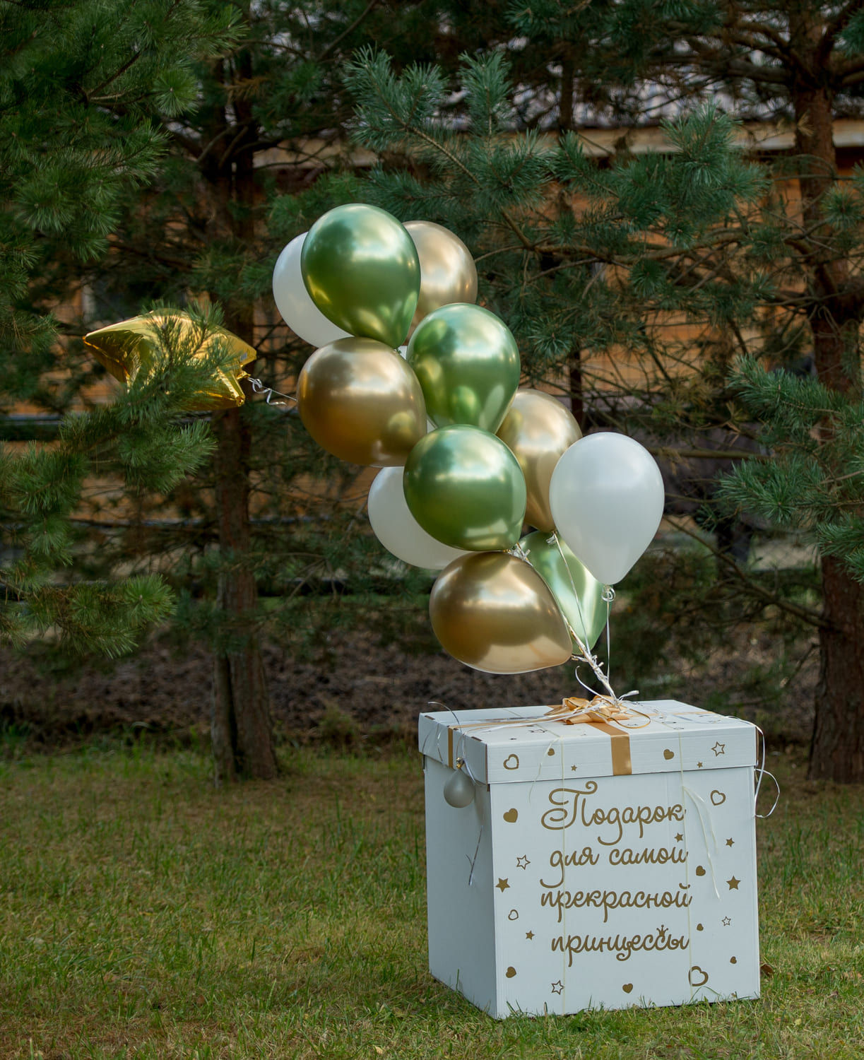 Коробка сюрприз